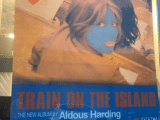 Aldous Harding Commands the Bluebird’s Quiet Storm